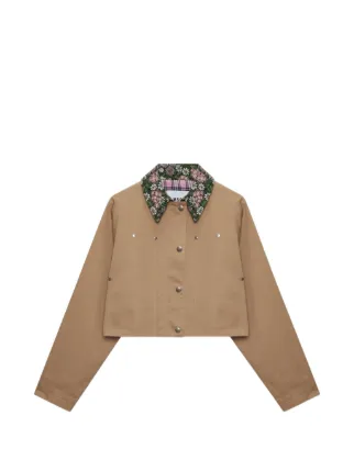 MSGM
