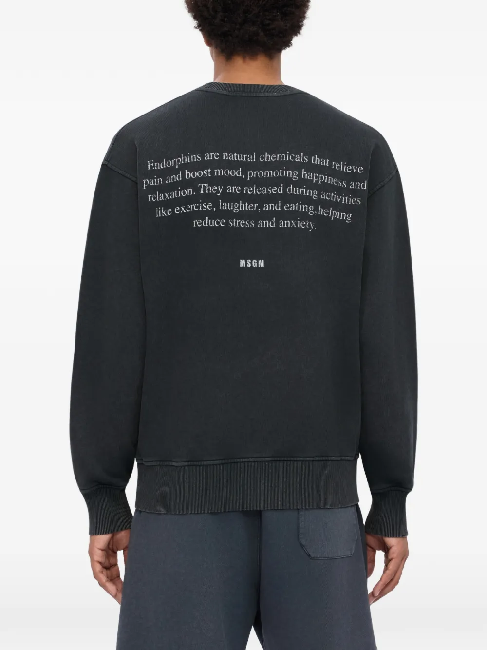 MSGM Sweater met ronde hals Grijs