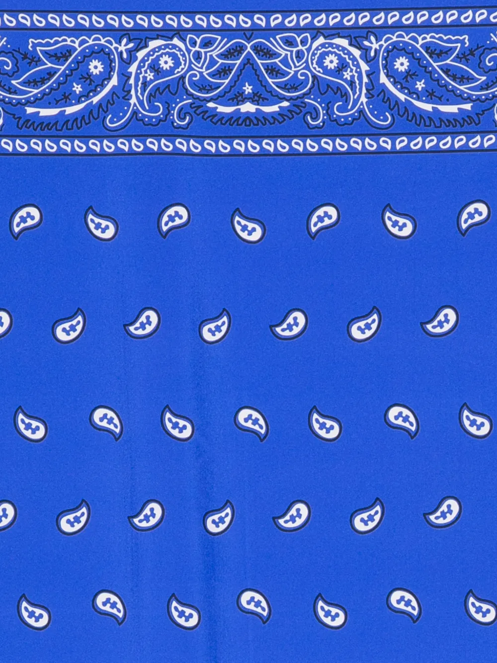 P.A.R.O.S.H. Foulard met paisley-print Blauw