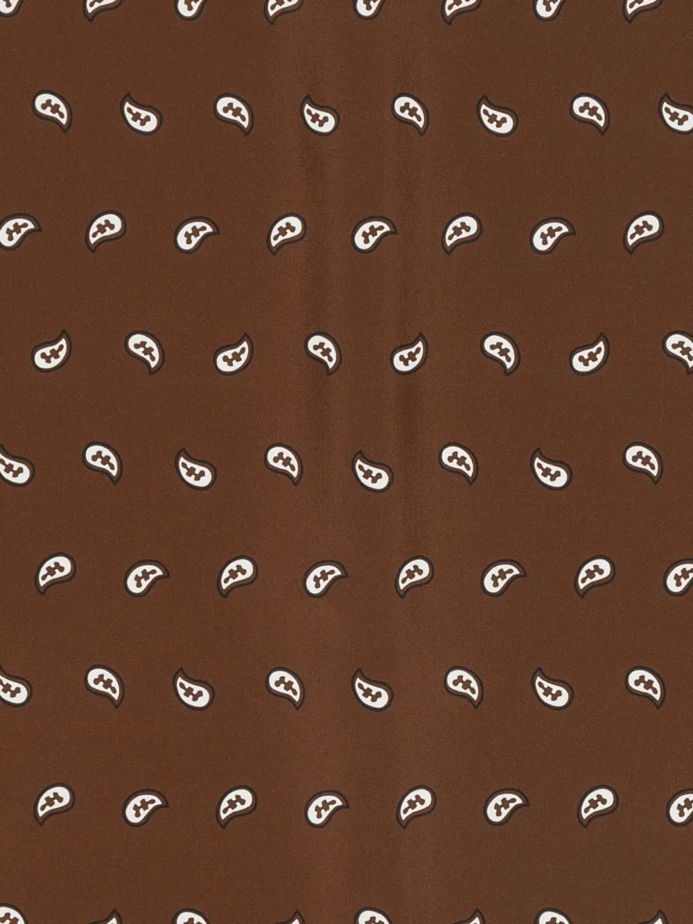  P.a.r.o.s.h. Paisley-print Scarf - Brown 