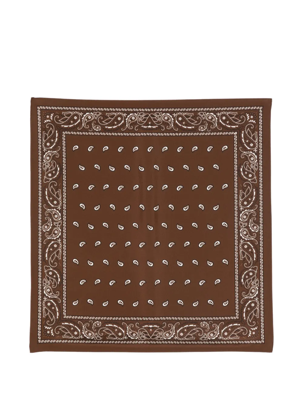 P.A.R.O.S.H. paisley-print scarf - Marrone