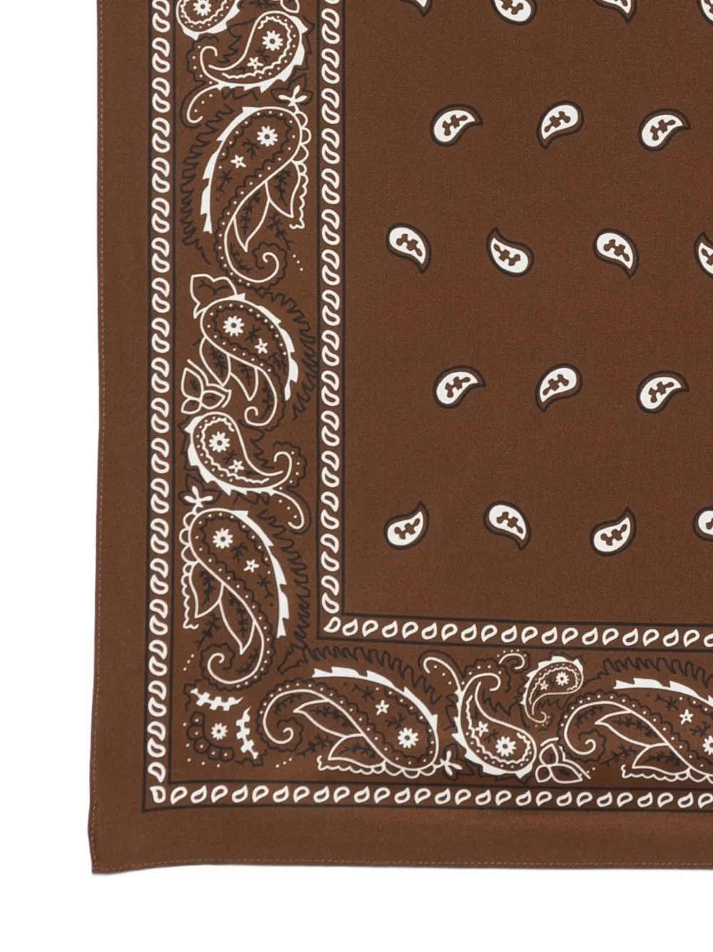  P.a.r.o.s.h. Paisley-print Scarf - Brown 