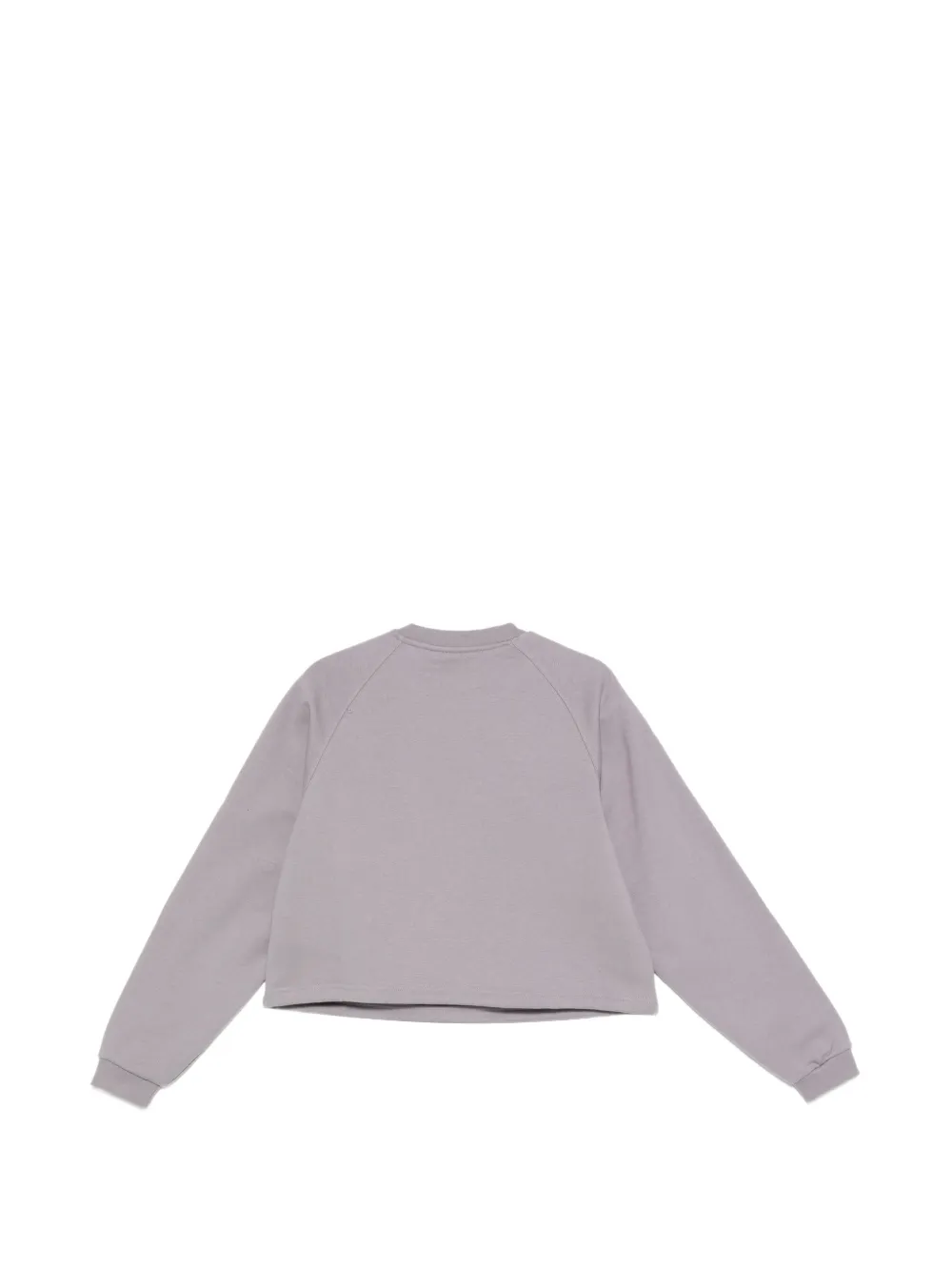  The North Face Logo Sweatshirt - Purple 