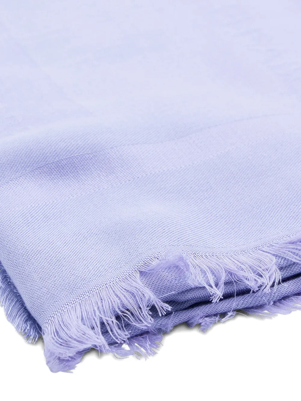  Elisabetta Franchi Fringed Scarf - Purple 