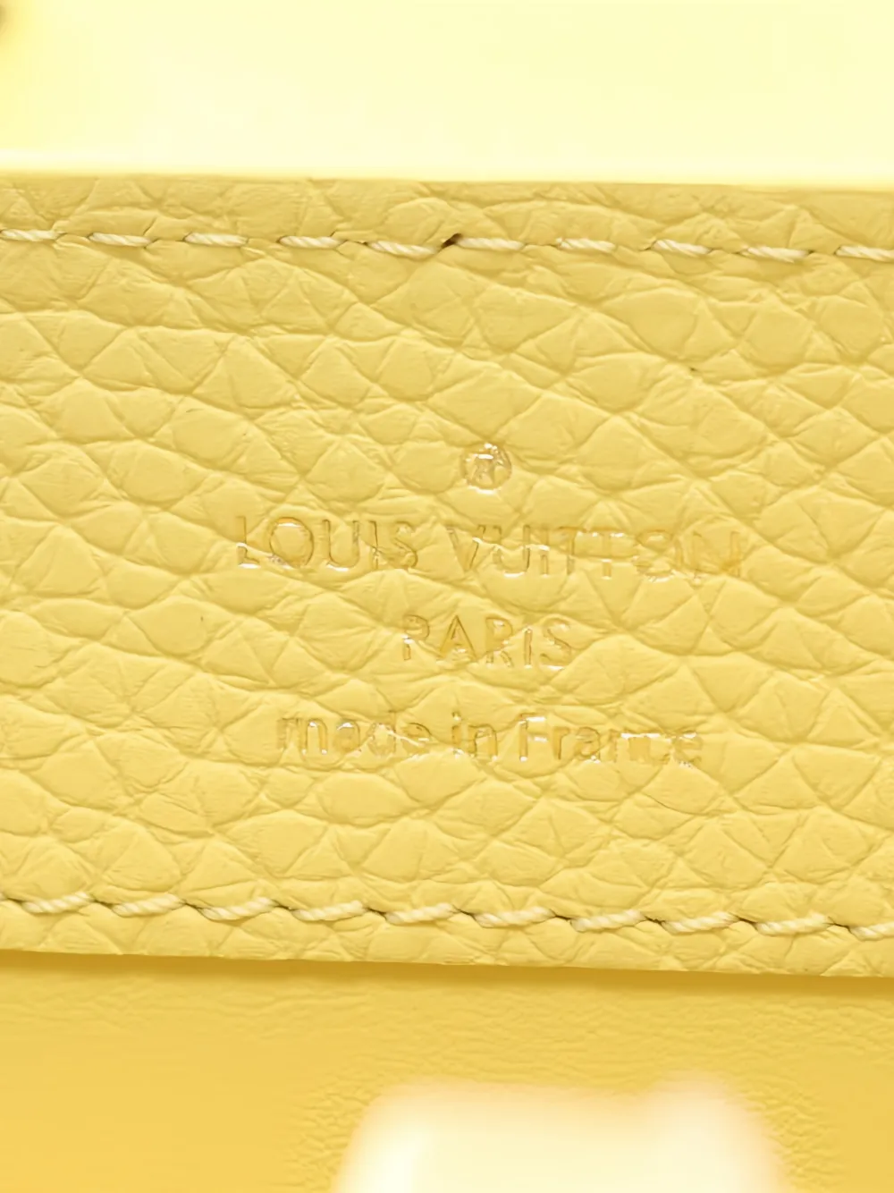 2021 Mini Capucines Handbag