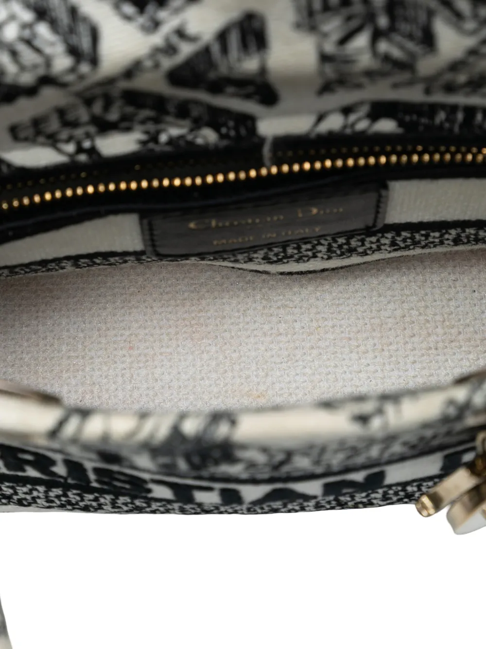 2023 Mini Embroidered Canvas Plan De Paris Lady D Lite Satchel