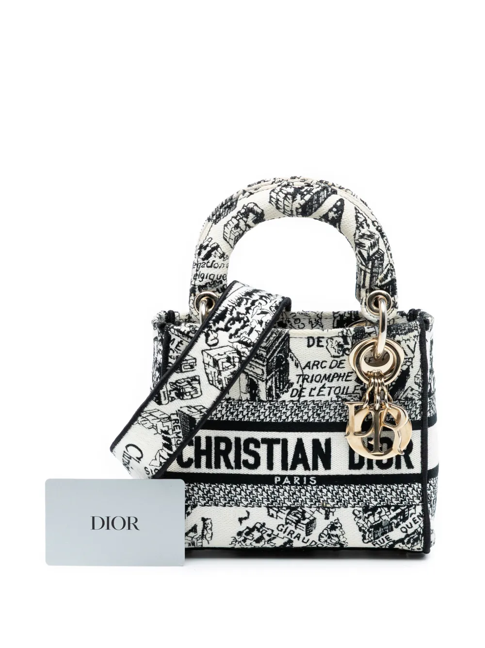 2023 Mini Embroidered Canvas Plan De Paris Lady D Lite Satchel