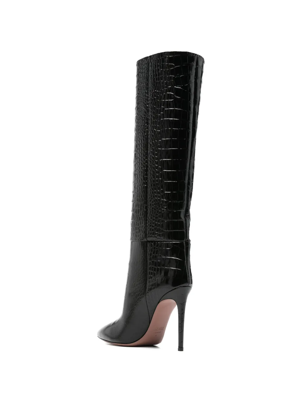 Paris Texas pointed-toe boots Bruin