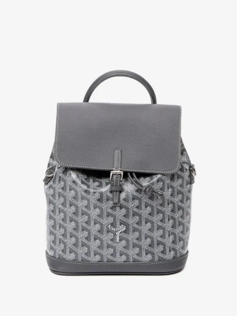 Goyard Pre-Owned mini Alpin backpack