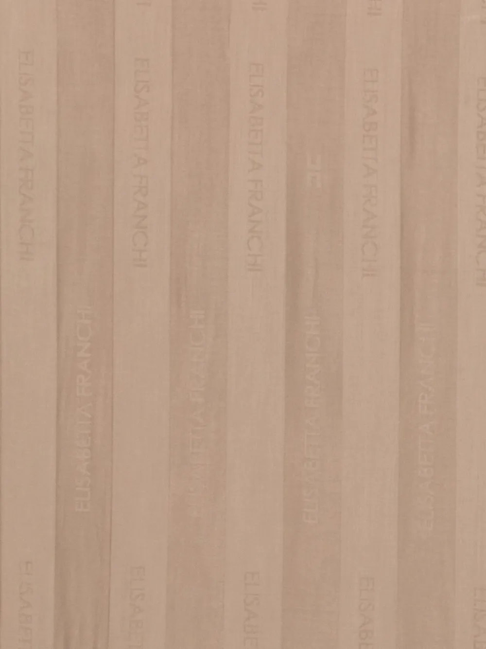  Elisabetta Franchi Logo Scarf - Neutrals 