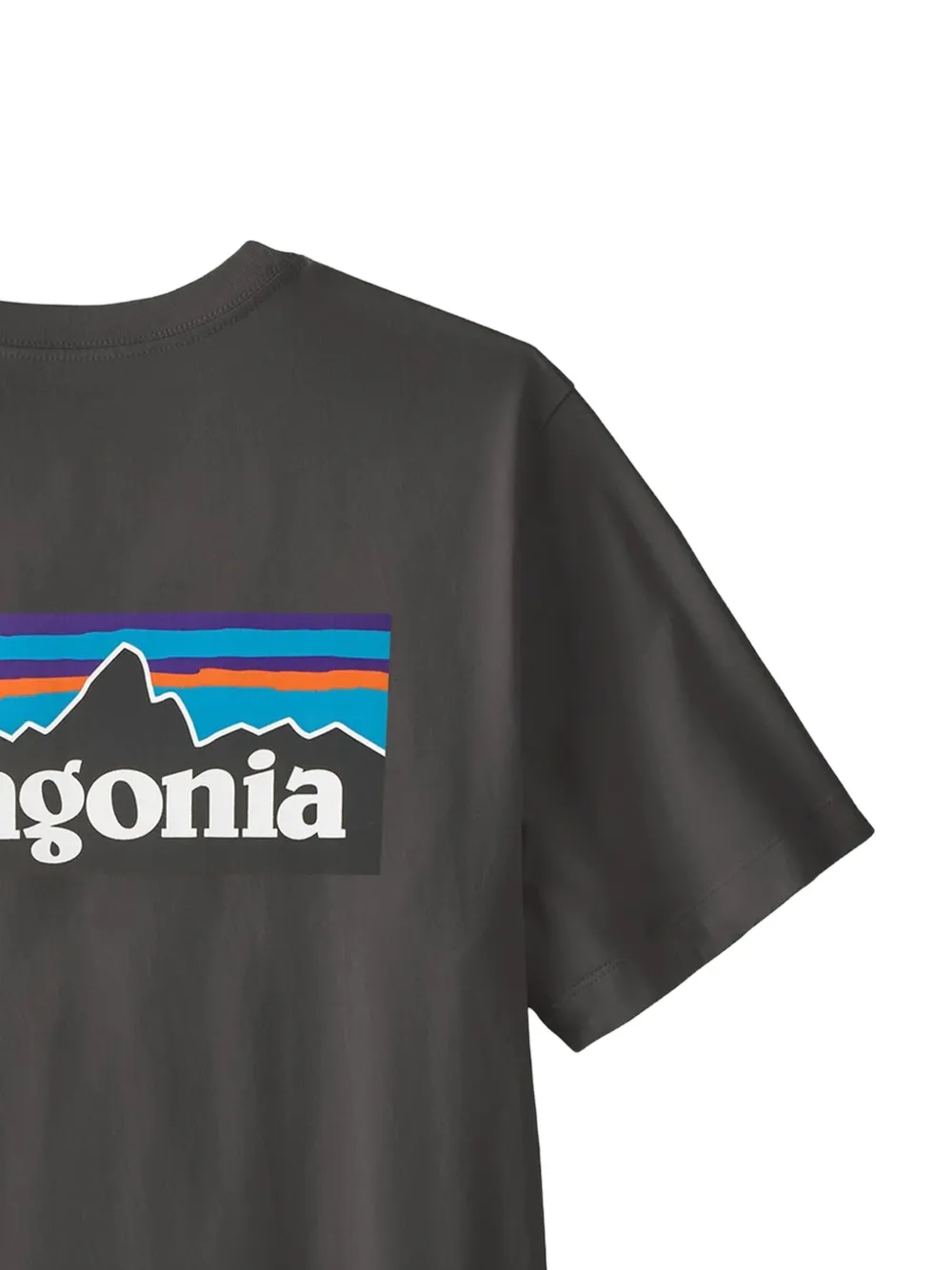 Patagonia P-6 T-shirt met print Grijs