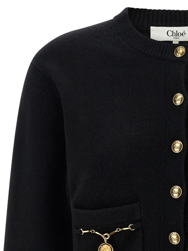Chloé Horse Medal Cardigan In a Merino Wool And Cashmere Knit