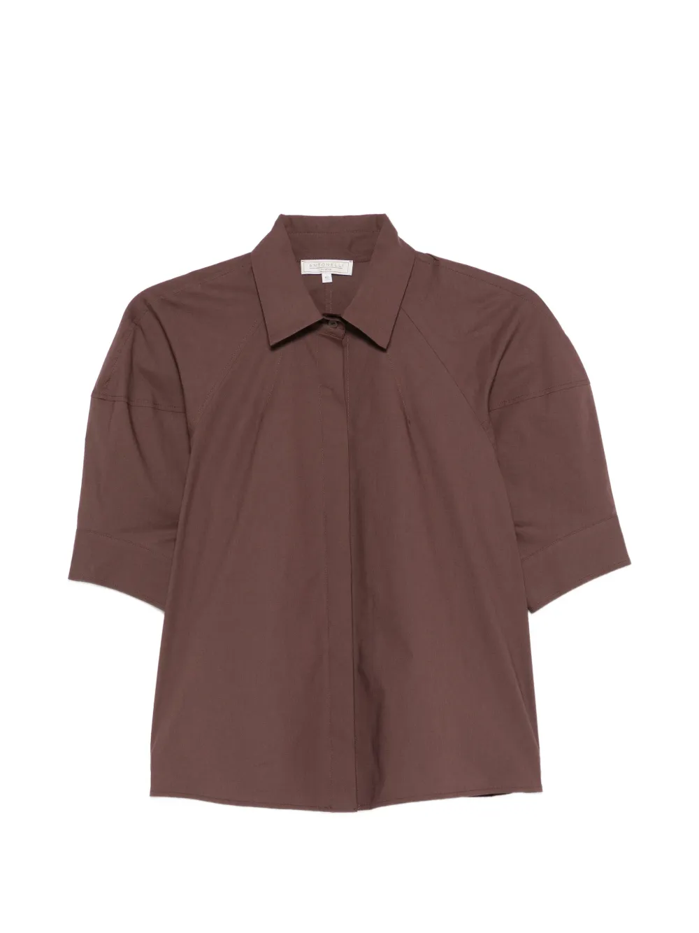 Antonelli point-collar shirt - Marrone
