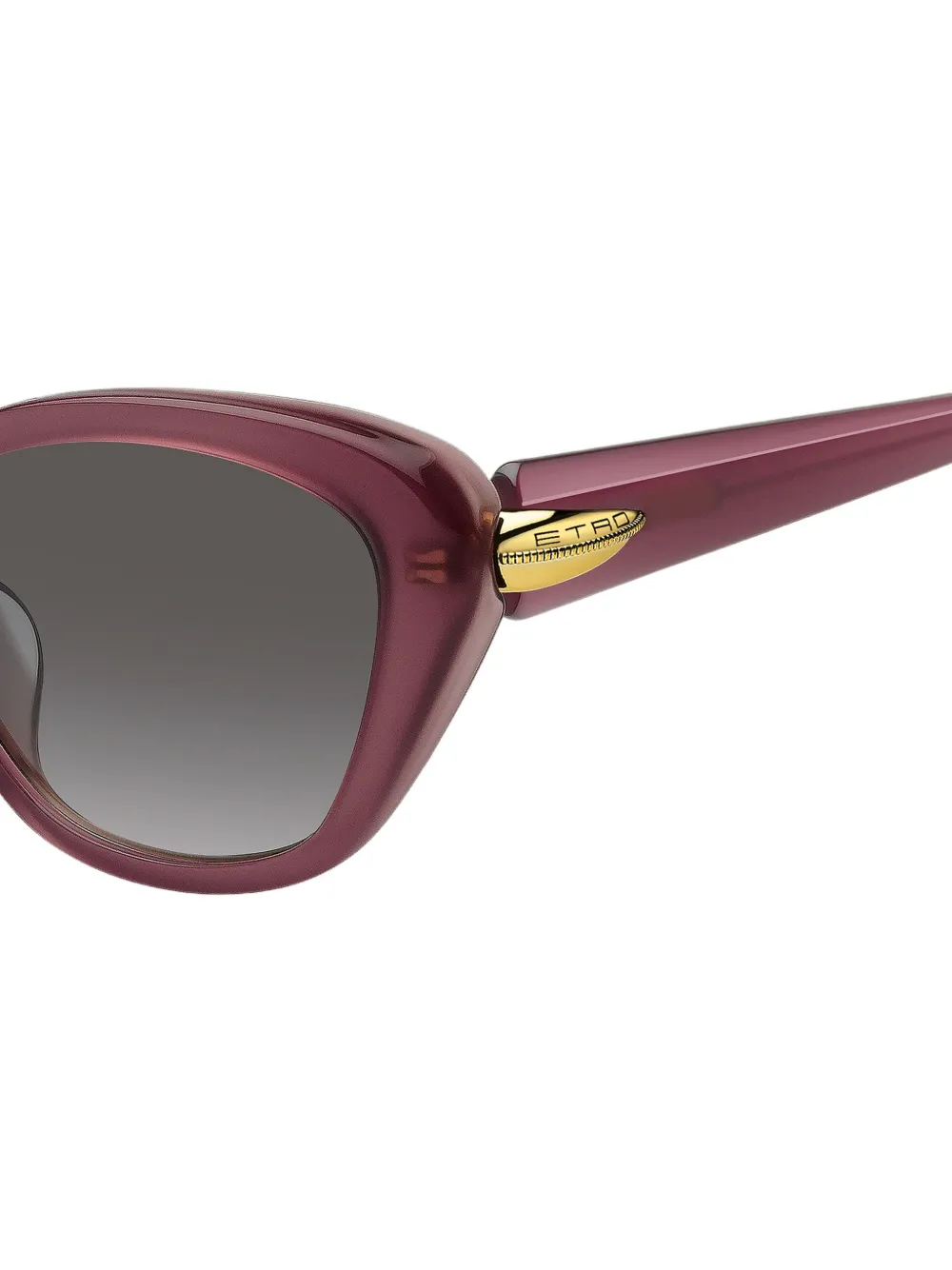 ETRO Zonnebril met cat-eye montuur Paars