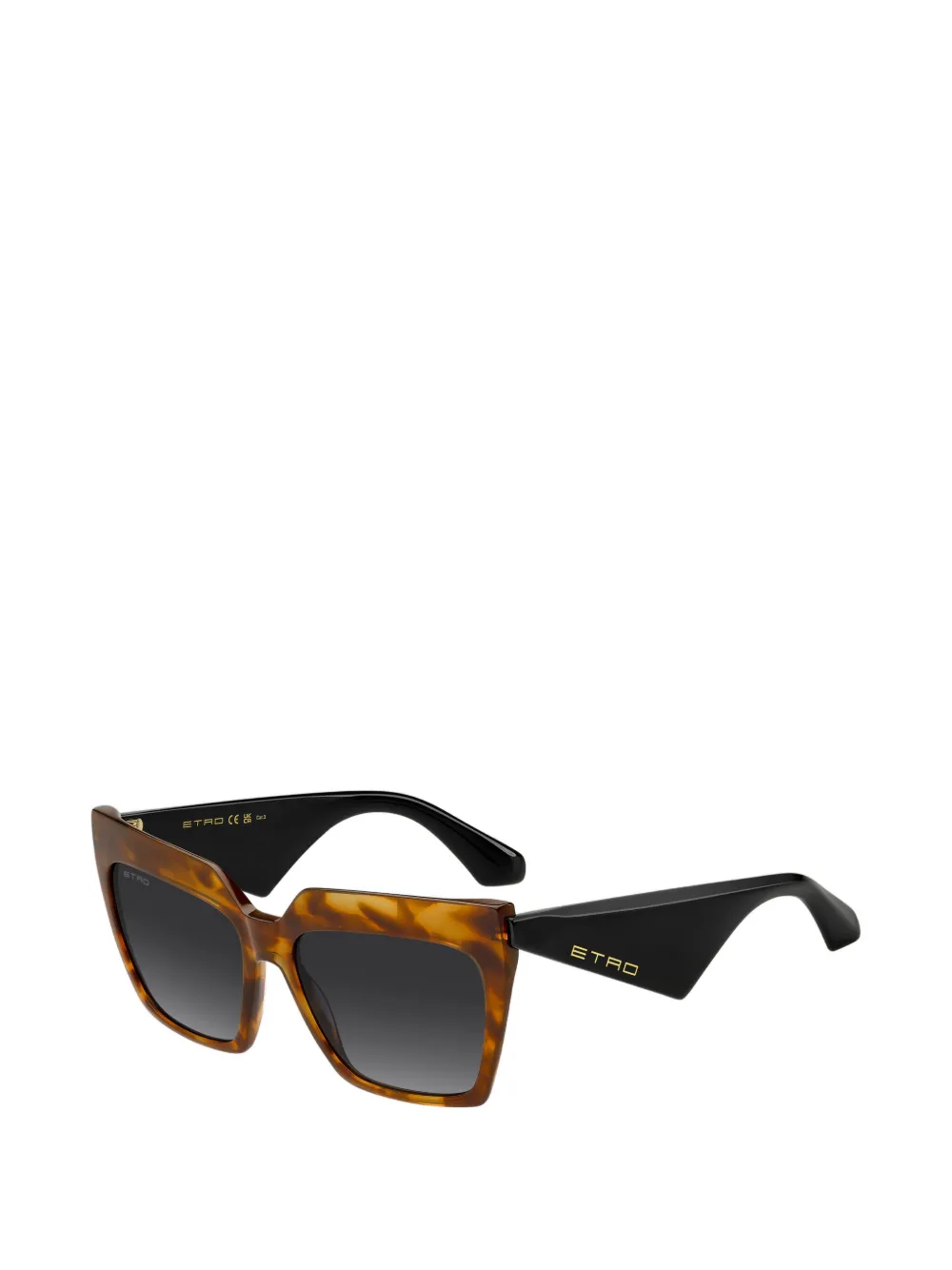 ETRO Zonnebril met getinte glazen Bruin