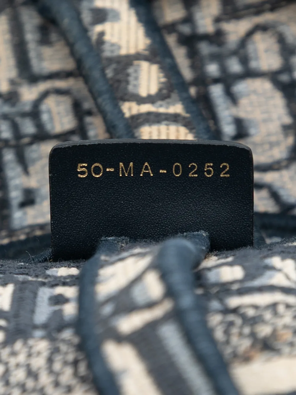 2022 Oblique Embroidered Canvas Saddle Bag Shoulder Bag