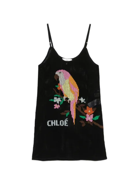 Chloé embroidered mesh-knit mini dress