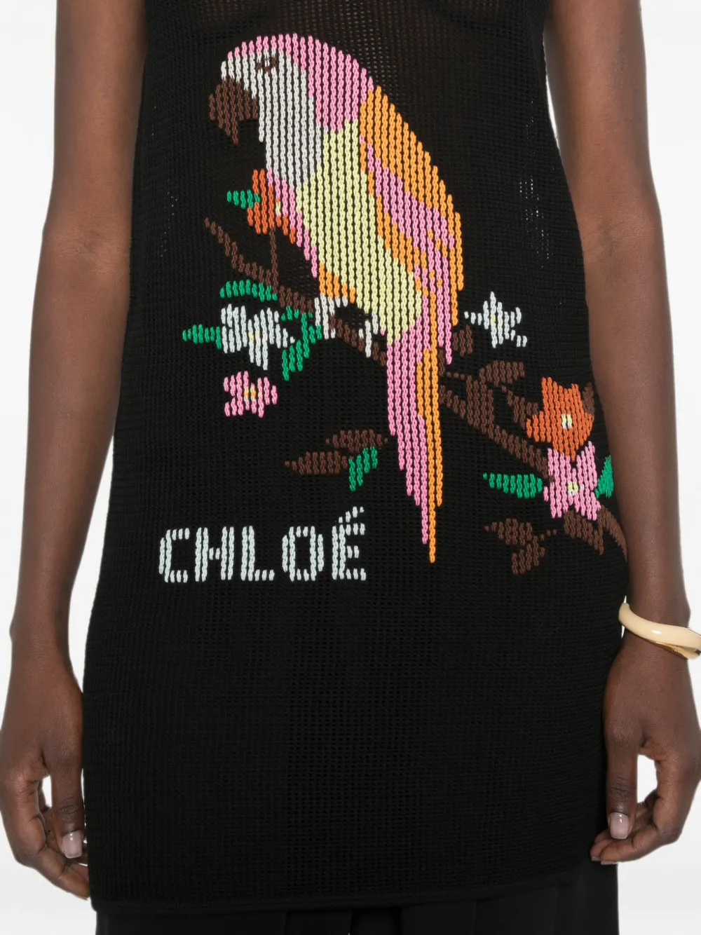 Chloé Parrot-intarsia Knitted Dress in Black, view 5