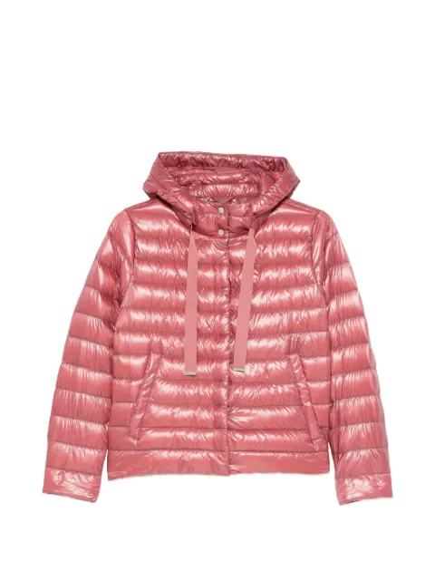 Herno hooded quilted jacket