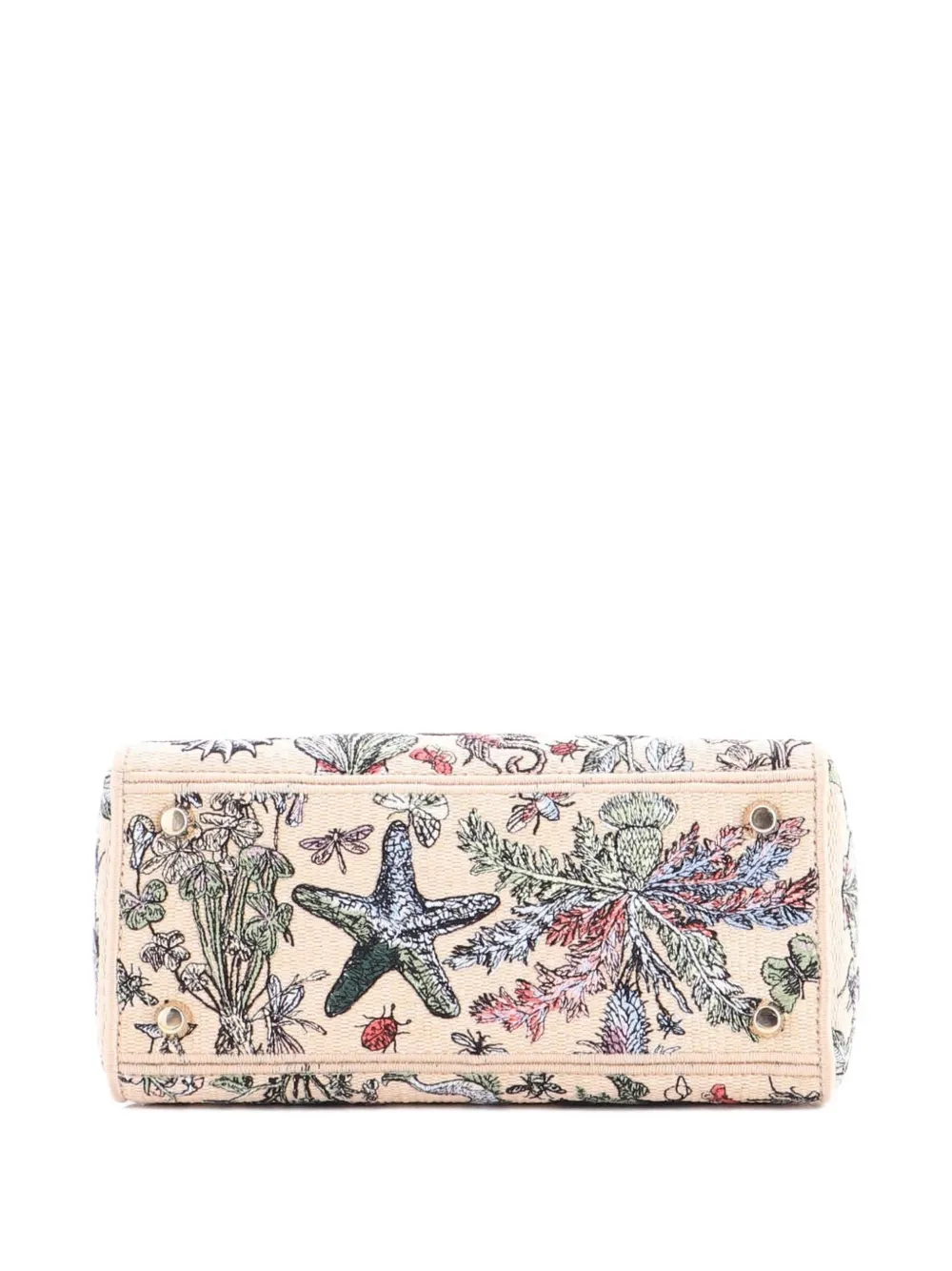 Lady D-Lite Bag Embroidered Raffia Medium Satchel