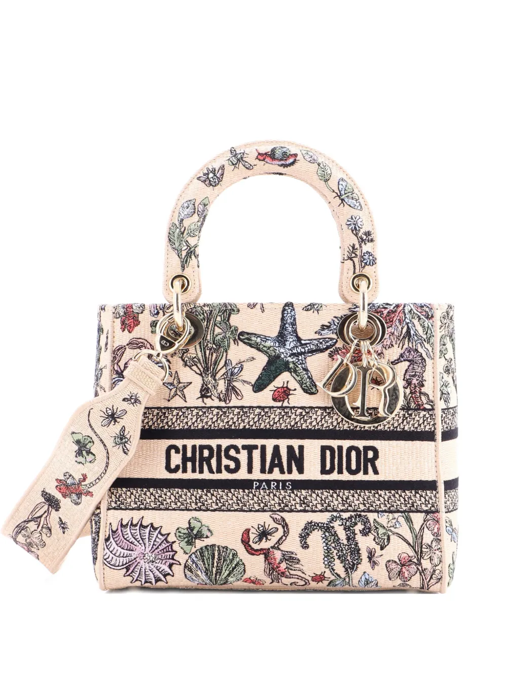Christian Dior Pre-Owned Lady D-Lite Bag Embroidered Raffia Medium satchel - Toni neutri