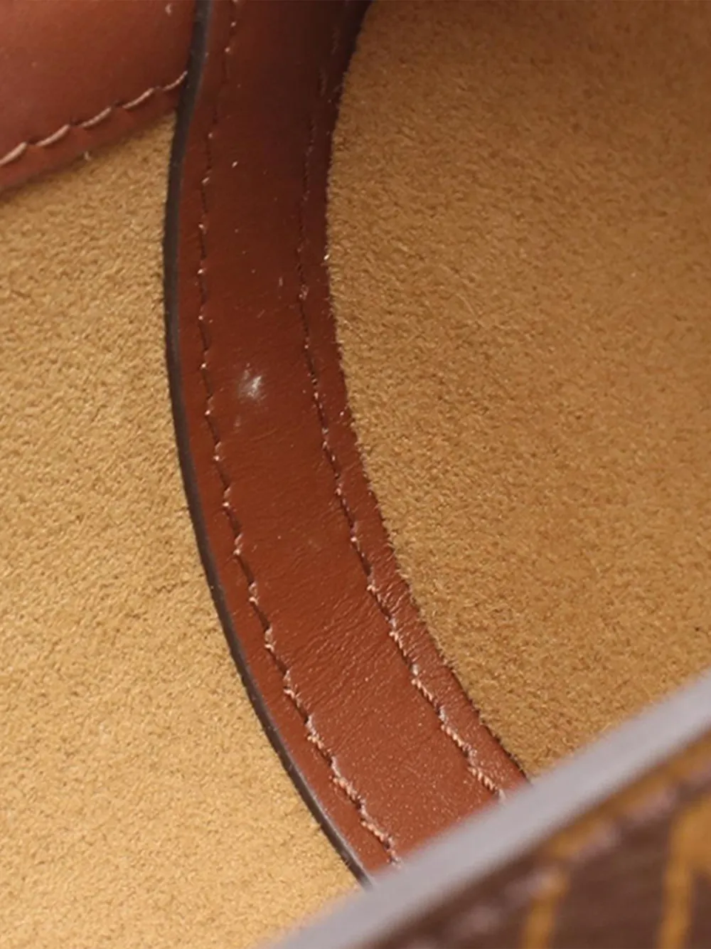 2010-2026 Monogram Papillon Trunk Satchel