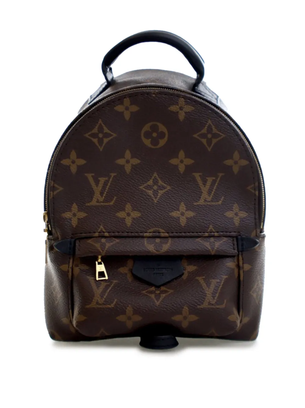 Louis Vuitton Pre-Owned 2020 Monogram Mini Palm Springs backpack - Marrone