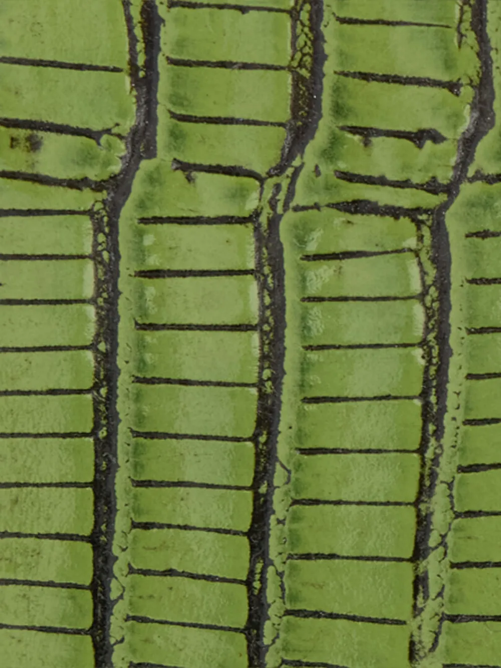 Roberto Cavalli Riem met slangengesp Groen