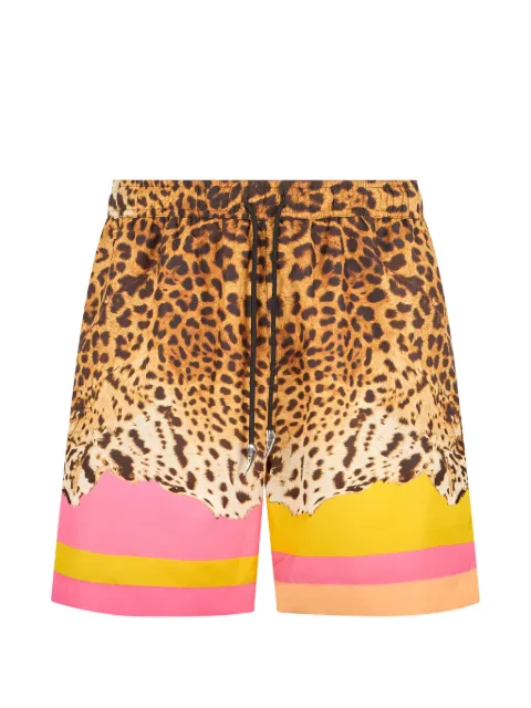 Roberto Cavalli leopard-print swim shorts