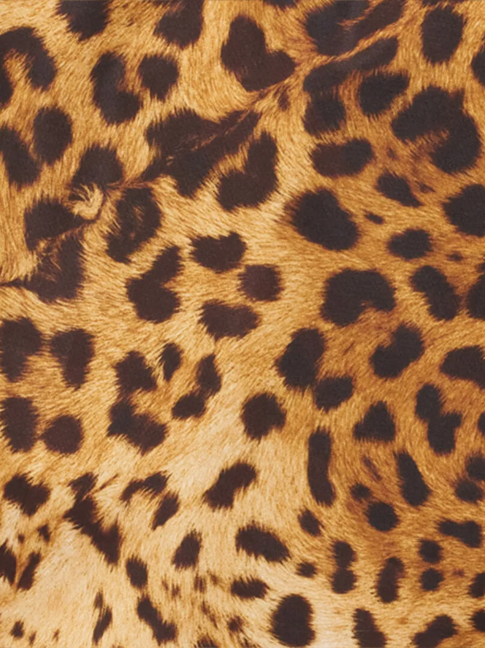 Roberto Cavalli Zwembroek met luipaardprint Geel