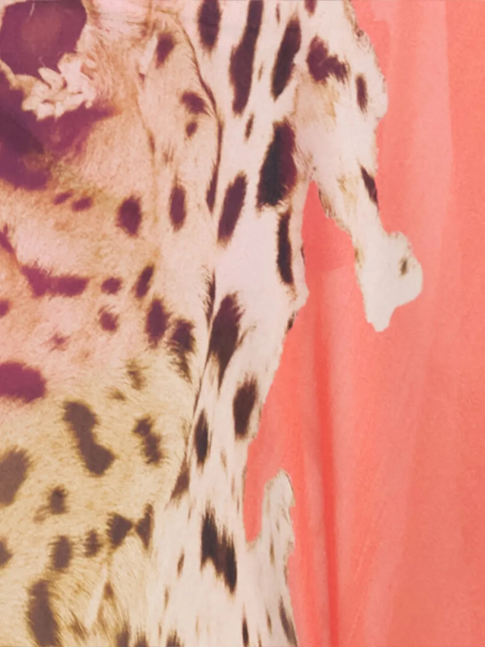  Roberto Cavalli Leopard Print Belted Beachwear - Neutrals 