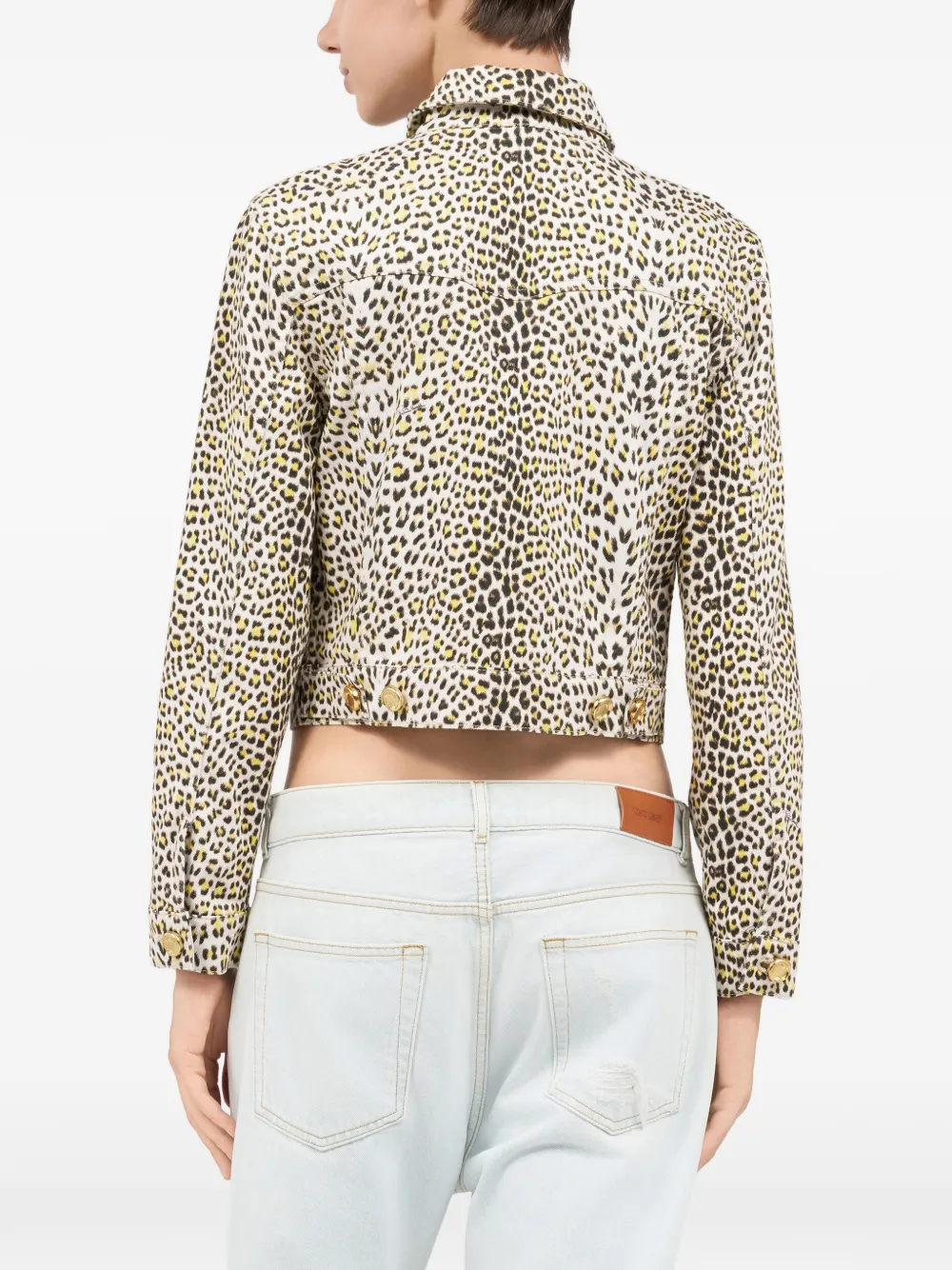 Roberto Cavalli Pop Jaguar jack Geel