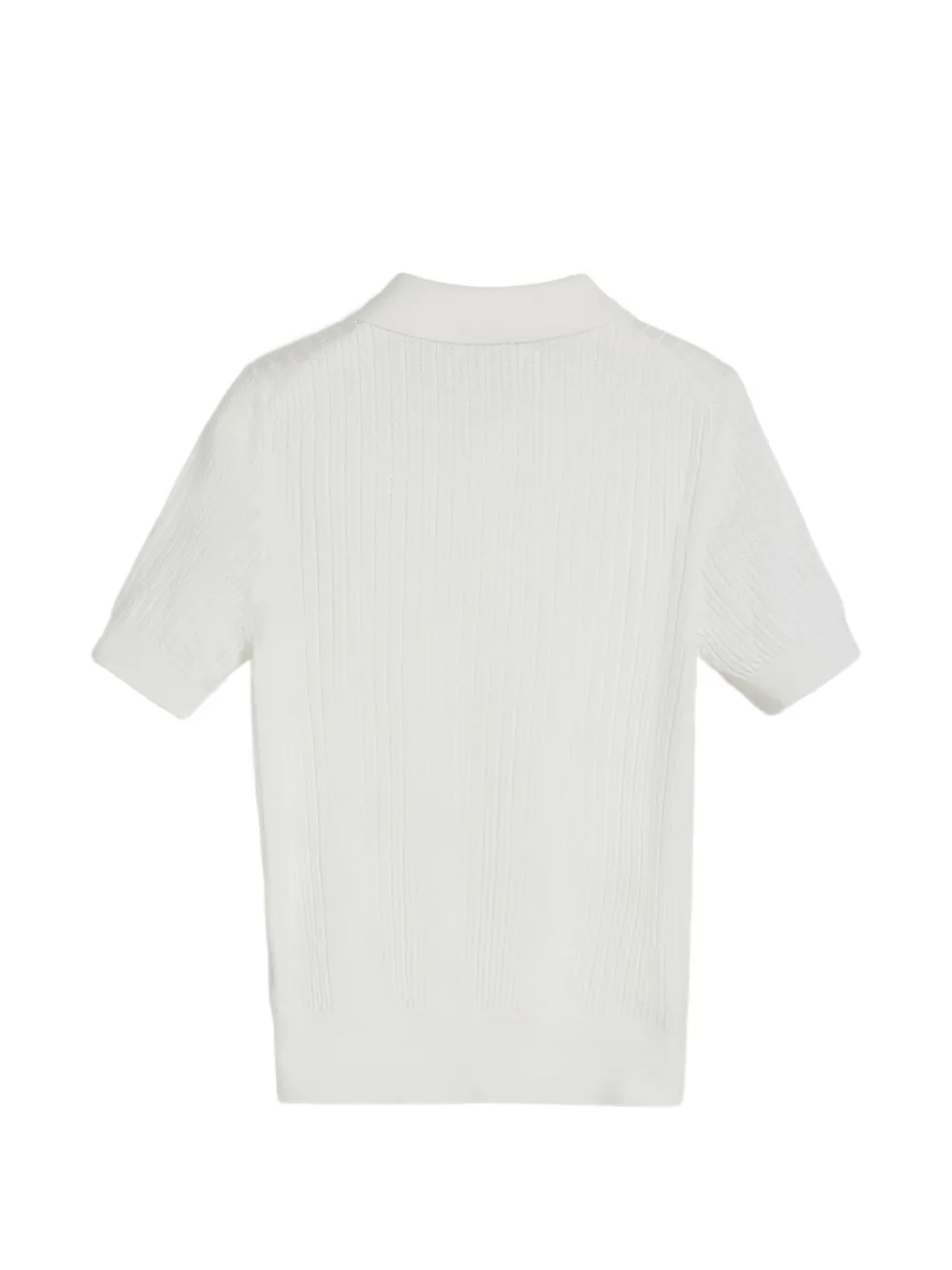 Textured Rib Knit Polo Shirt