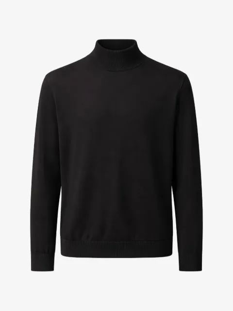 Pal Zileri roll-neck wool sweater