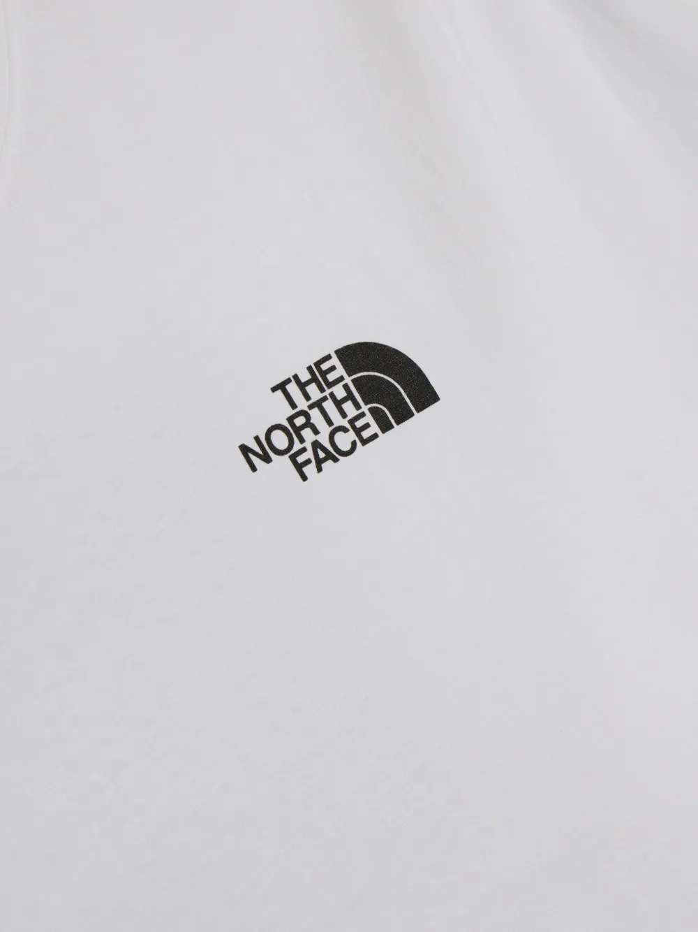 The North Face Evolution NSE Box T-shirt met ronde hals Wit