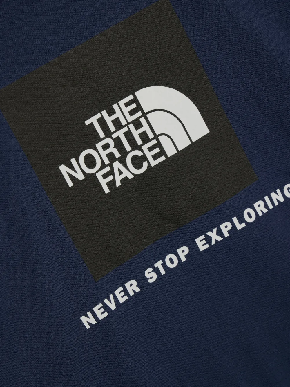 The North Face Evolution NSE Box T-shirt met ronde hals Blauw