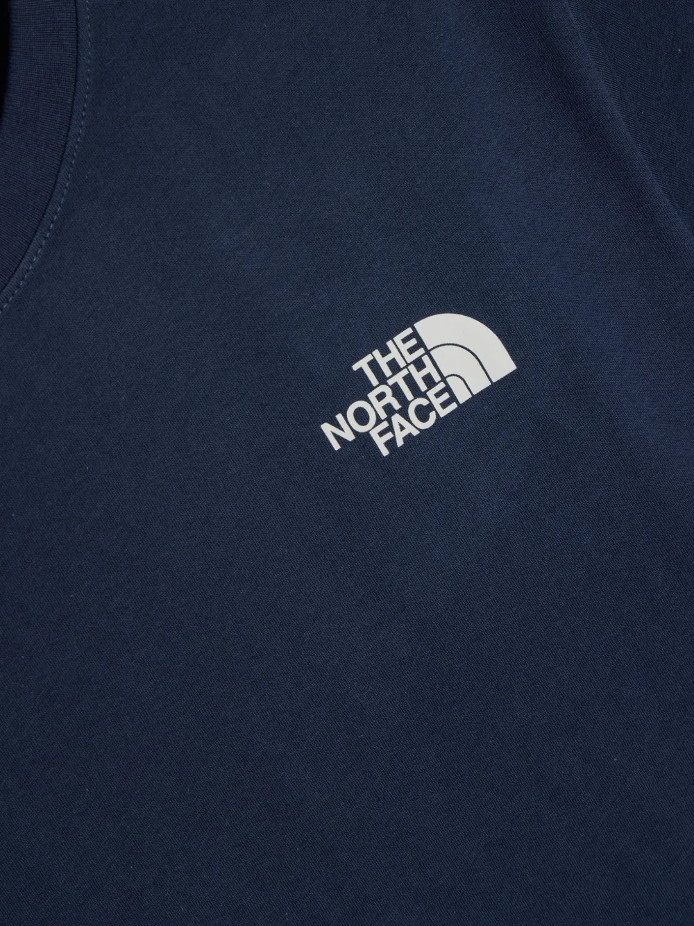 The North Face Evolution NSE Box T-shirt met ronde hals Blauw