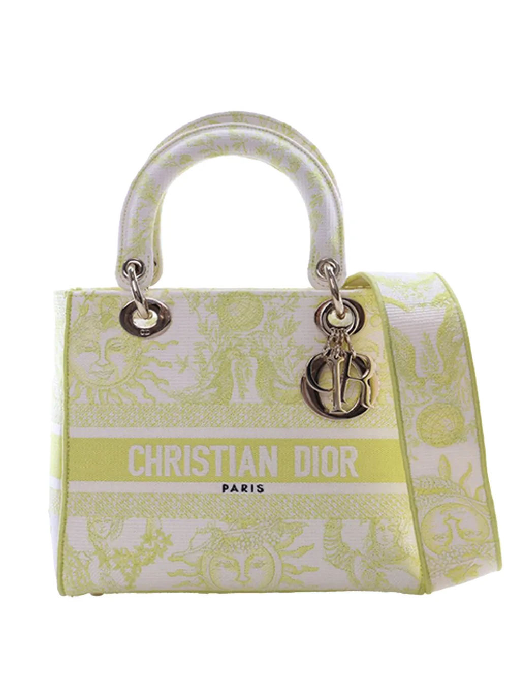 Christian Dior Pre-Owned 2024 Medium Embroidered Canvas Toile de Jouy Soleil Lady D Lite satchel - Giallo