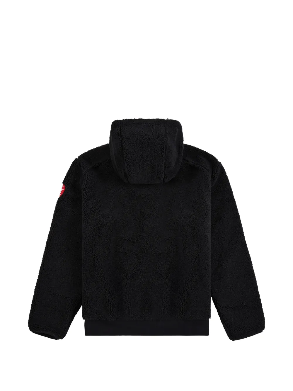 Polo Ralph Lauren Team USA Pile Fleece hoodie Zwart