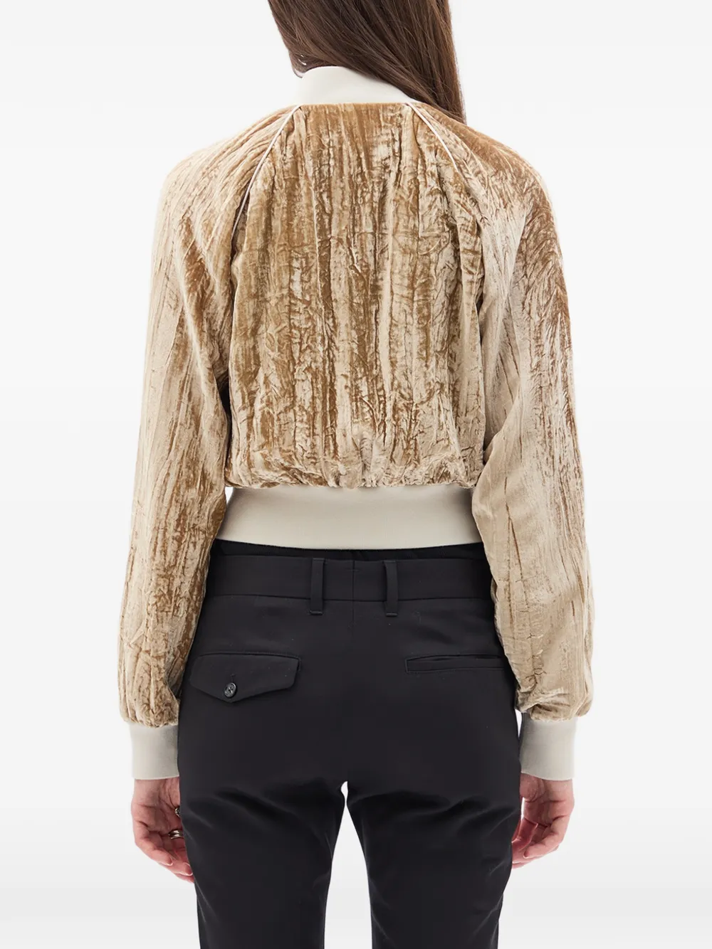 Ann Demeulemeester Arya Froissé Velvet Bombe Jacket in Neutrals, view 4