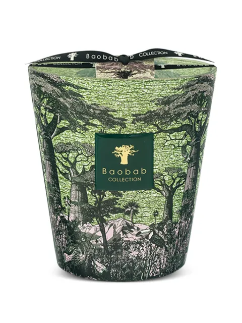Baobab Collection Sacred Trees Touba candle