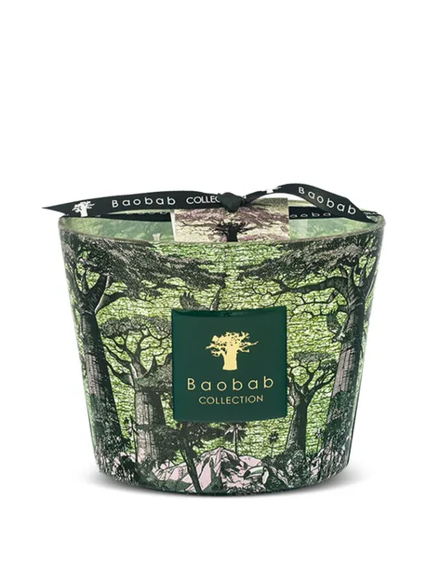 Baobab Collection Sacred Trees Touba candle