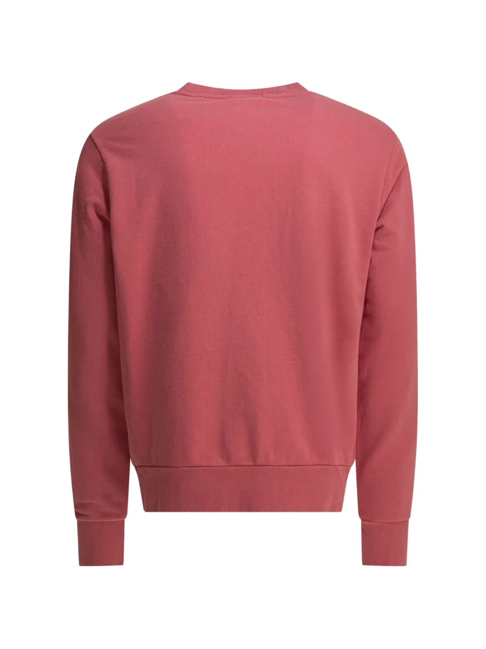 Polo Ralph Lauren Terry logo crewneck sweatshirt - Rosso