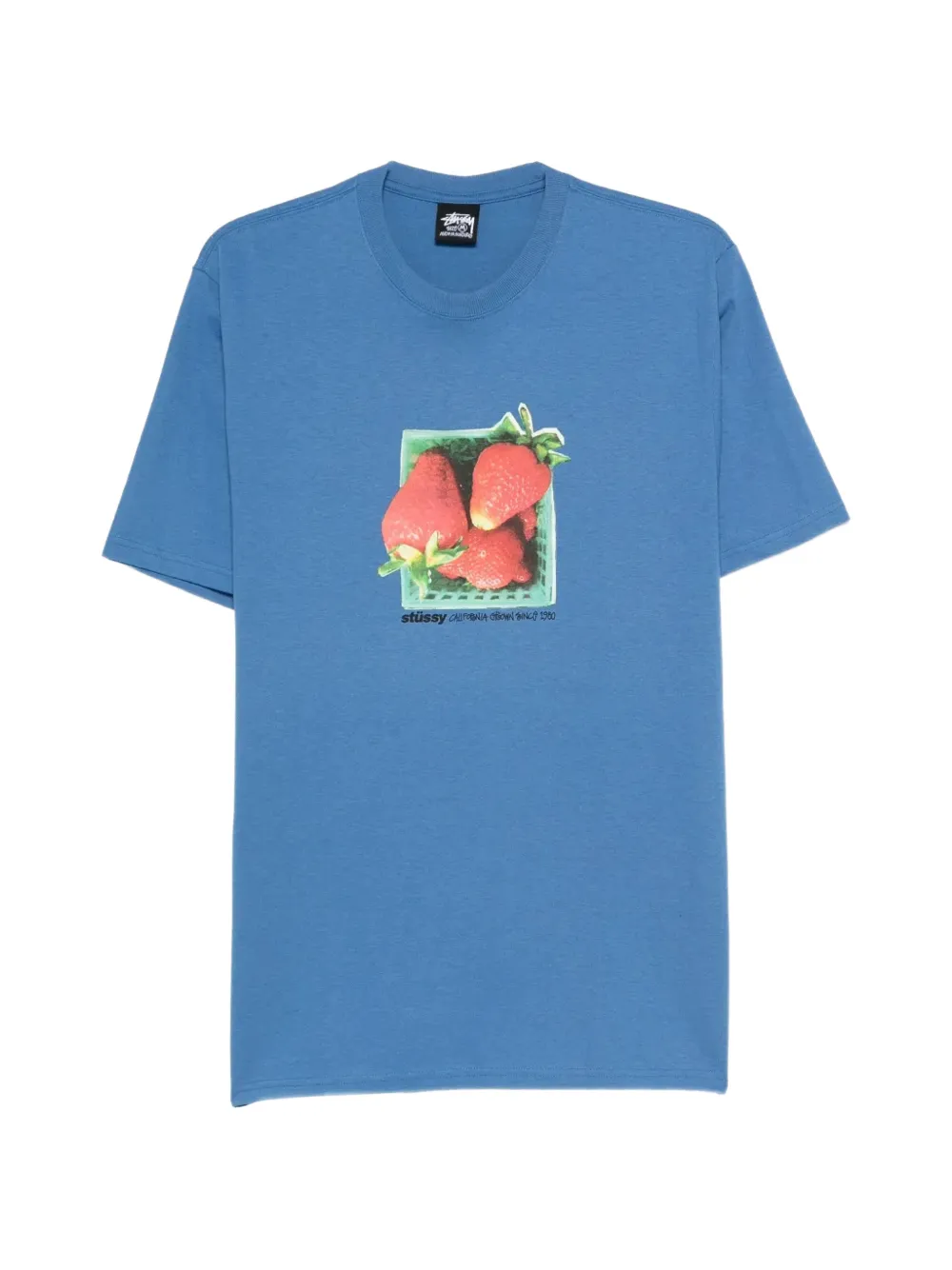 Stüssy T-shirt Berries con stampa - Blu