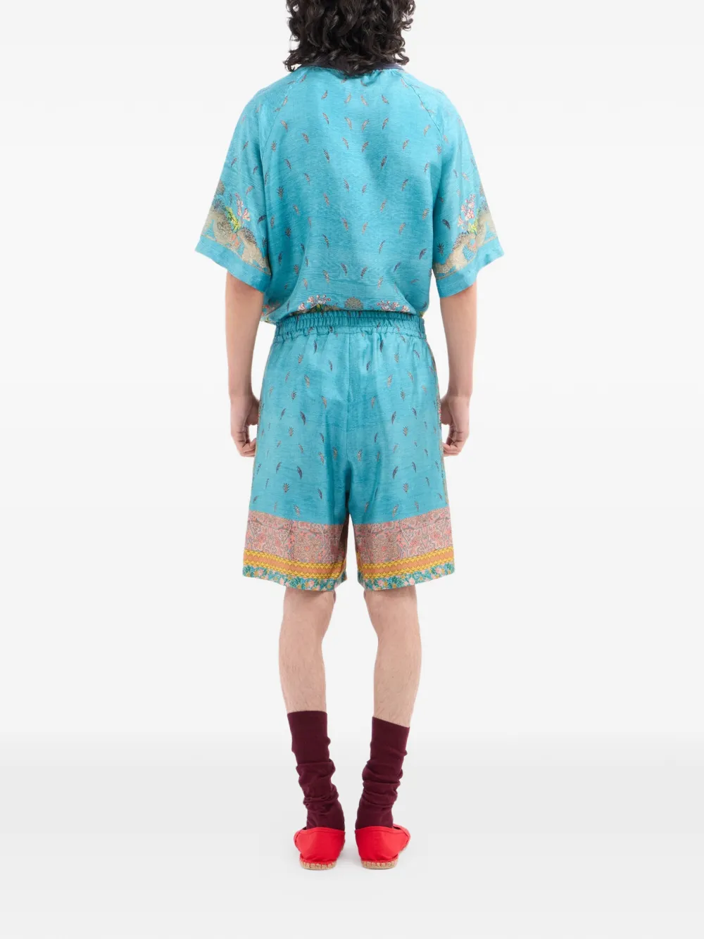 Aloe Paisley-Print Shorts