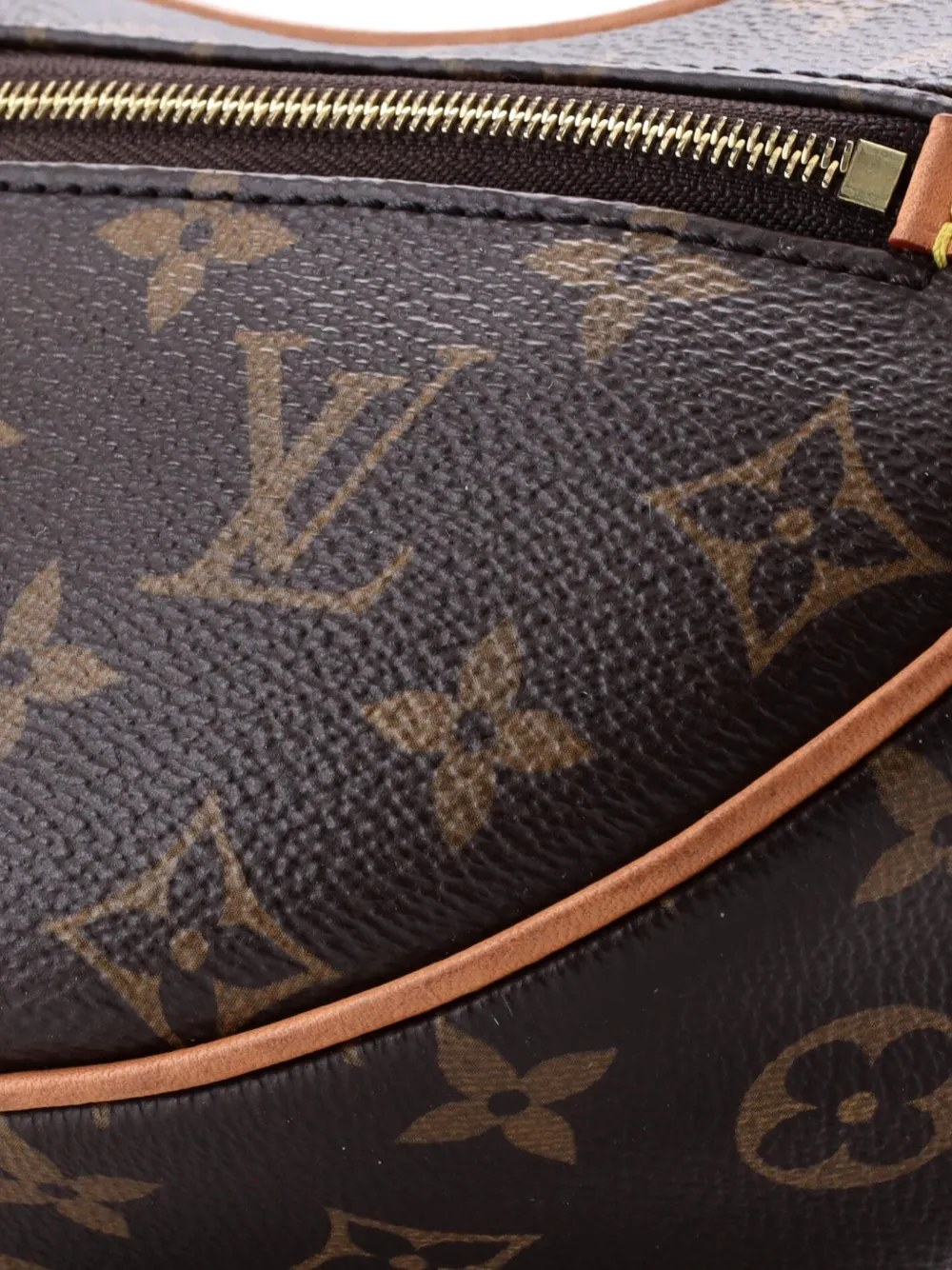 Loop Handbag Monogram Canvas Hobo Bag