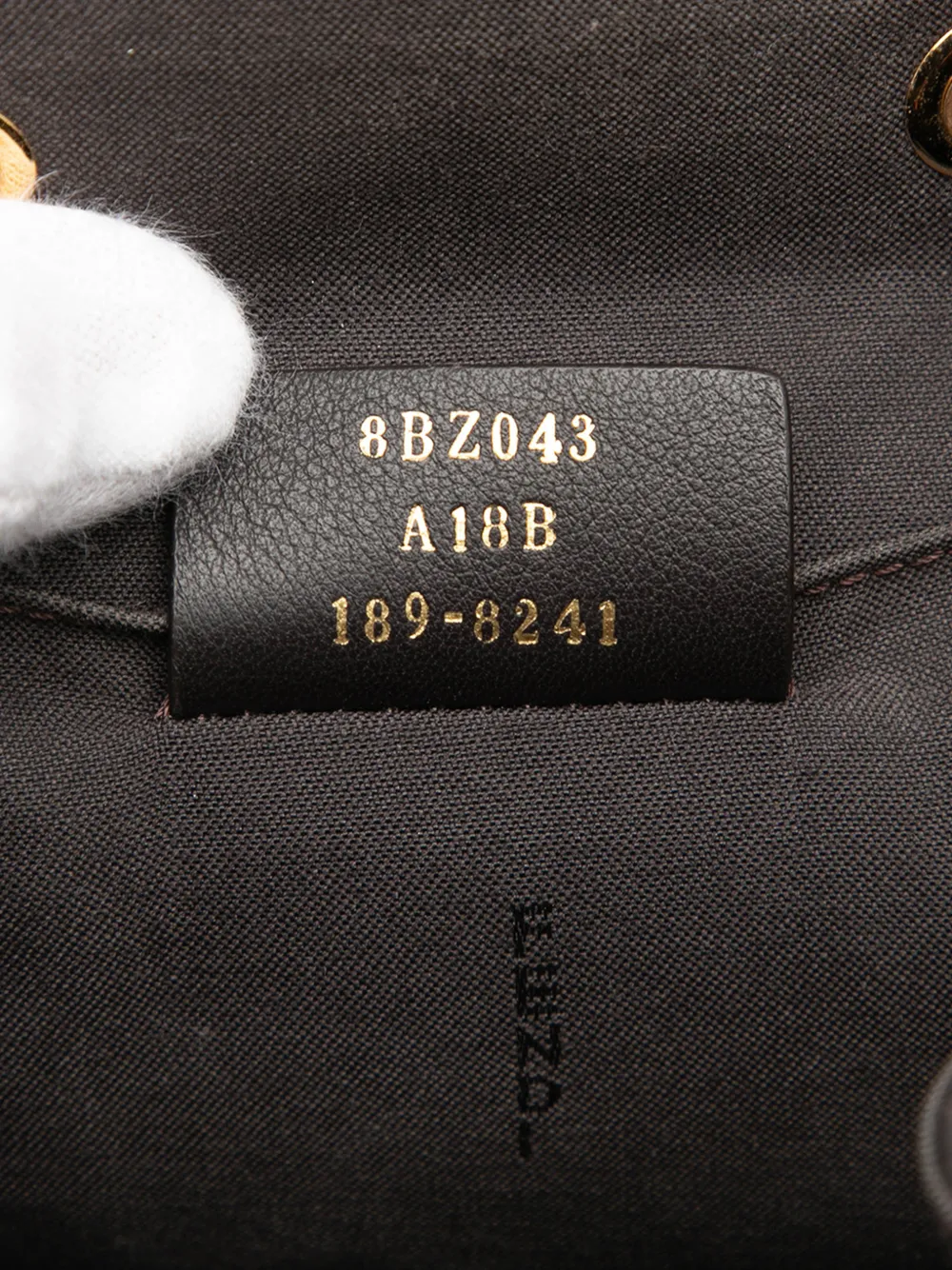 2010-2026 Leather F Is Fendi Backpack