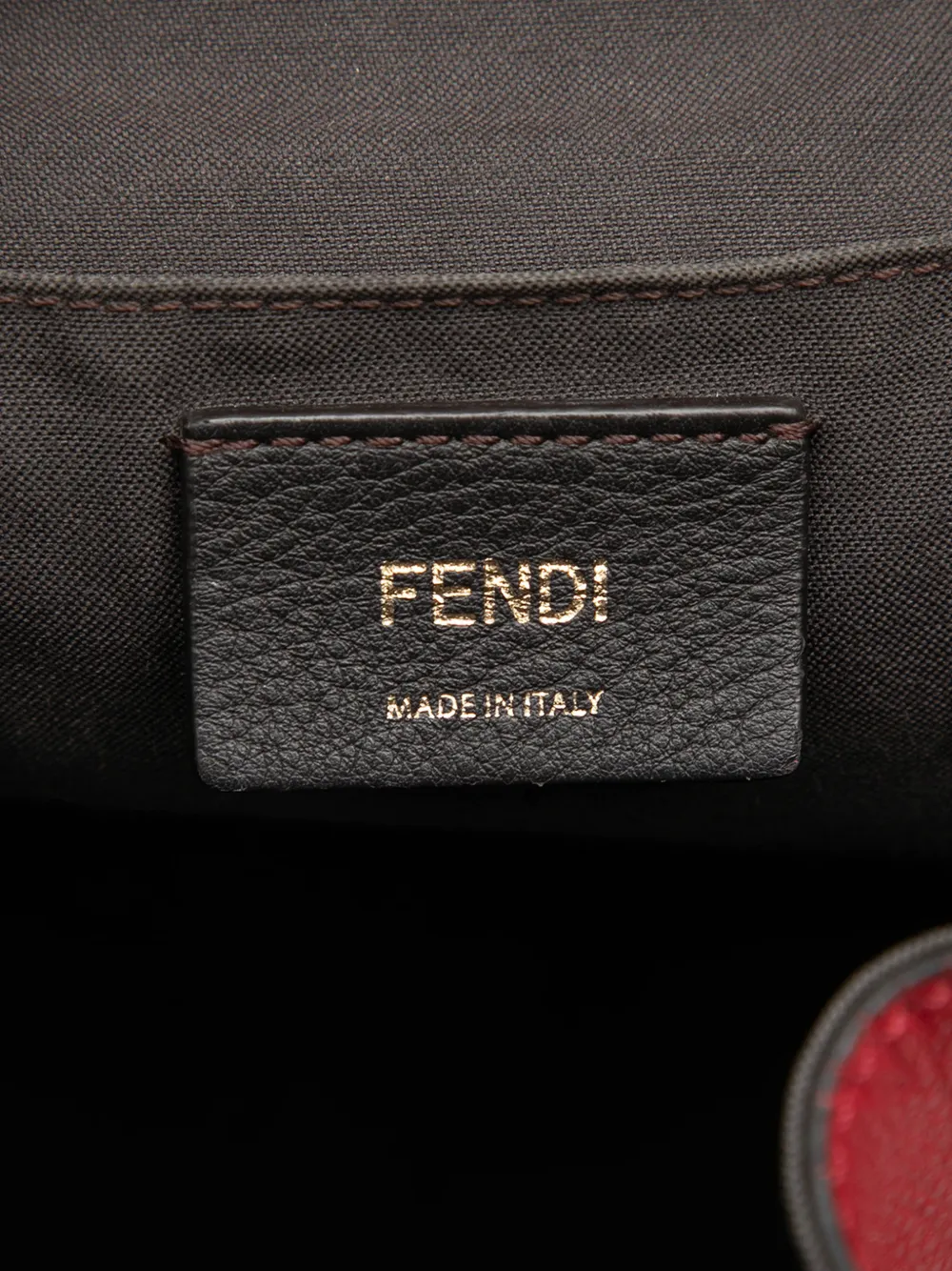 2010-2026 Leather F Is Fendi Backpack