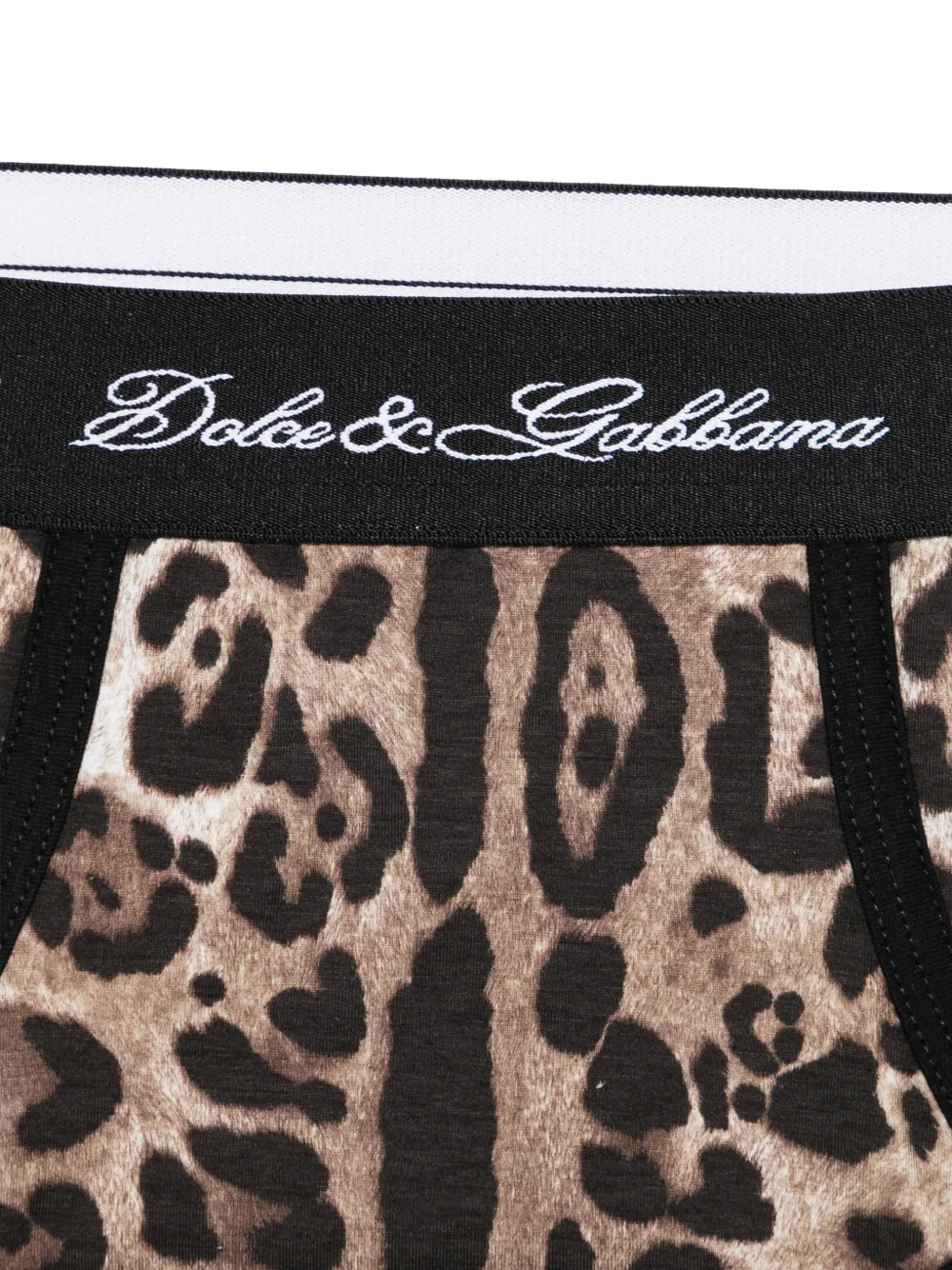 leopard-print briefs