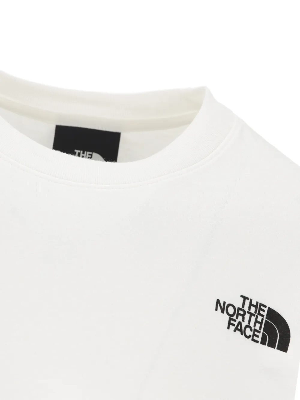 The North Face Denali T-shirt met print Wit